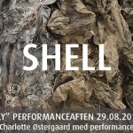 Shell 02